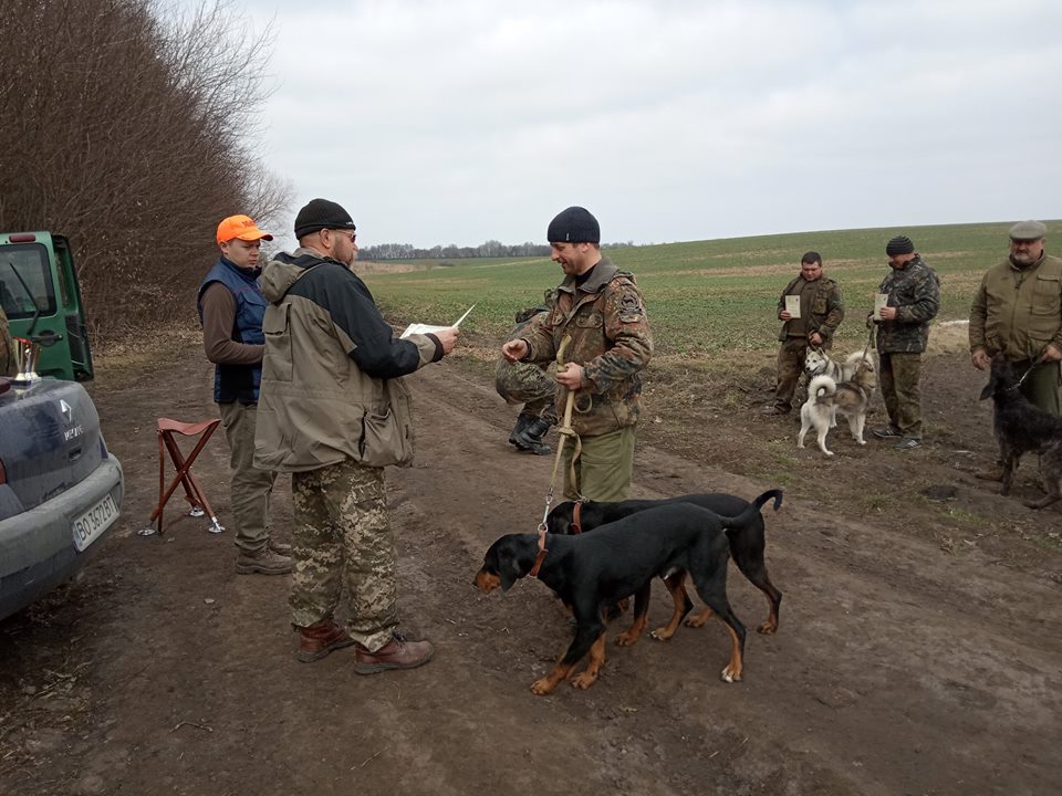 Випробування по кров'яному сліду Підволочиську РО УТМР Український карпатський гончак вл. Сівенков О.
